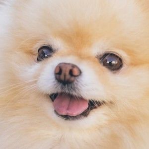 Meet your Posher, Alec